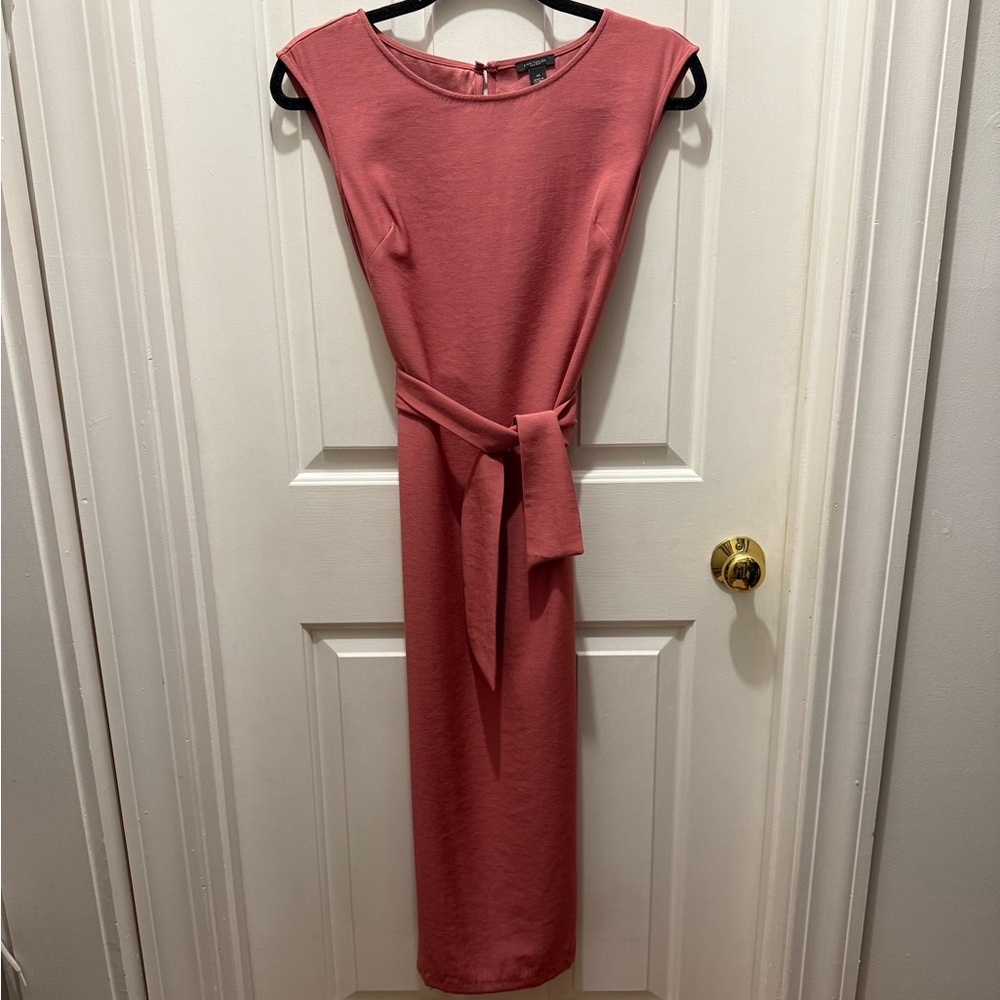 NWOT Ann Taylor Pink Midi Belted Dress